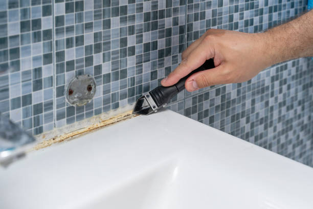 Certified Mold Removal in Ceres, CA