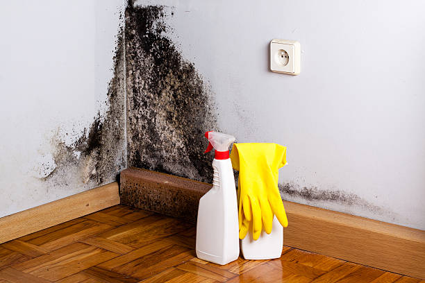 Best Crawl Space Mold Removal  in Ceres, CA